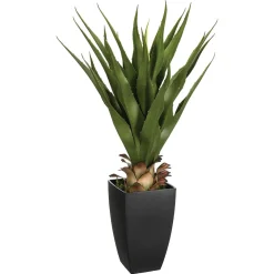 Agave artificielle