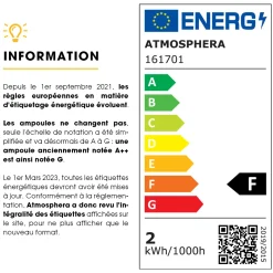 Ampoule LED "Globe"