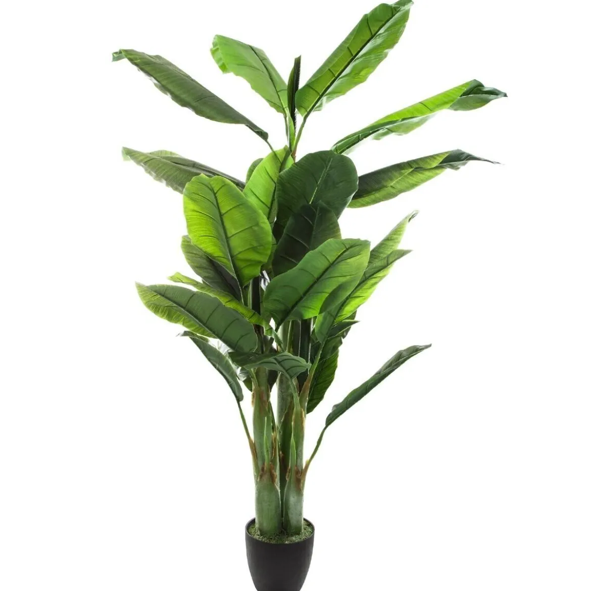 Bananier artificiel