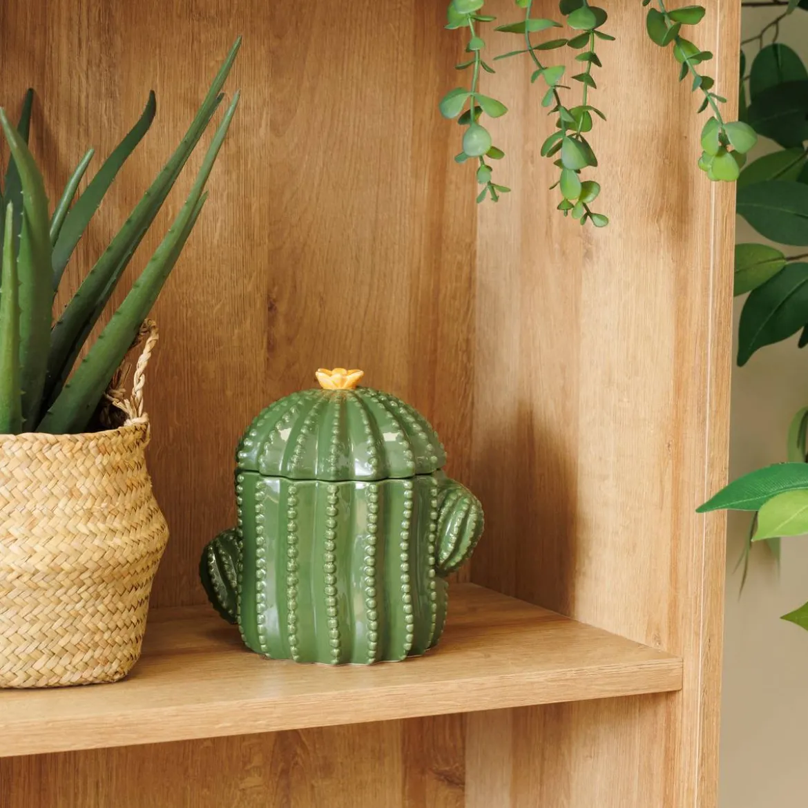 Boîte déco "Yuca"