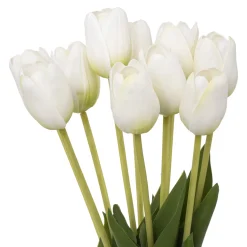 Bouquet de tulipes