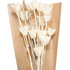 Bouquet fleurs séchées