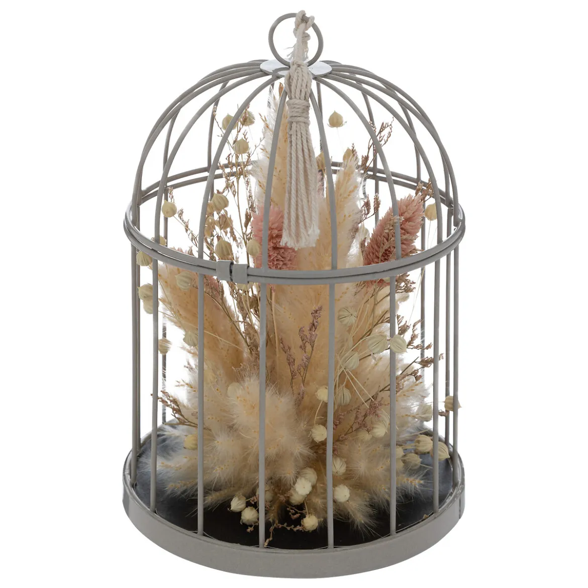 Cage