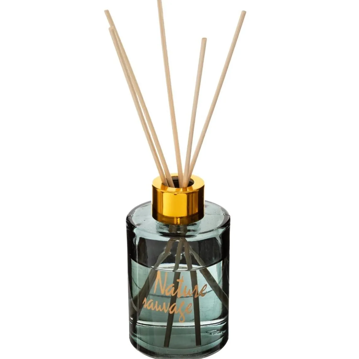 Coffret cadeau cage "Jungle"