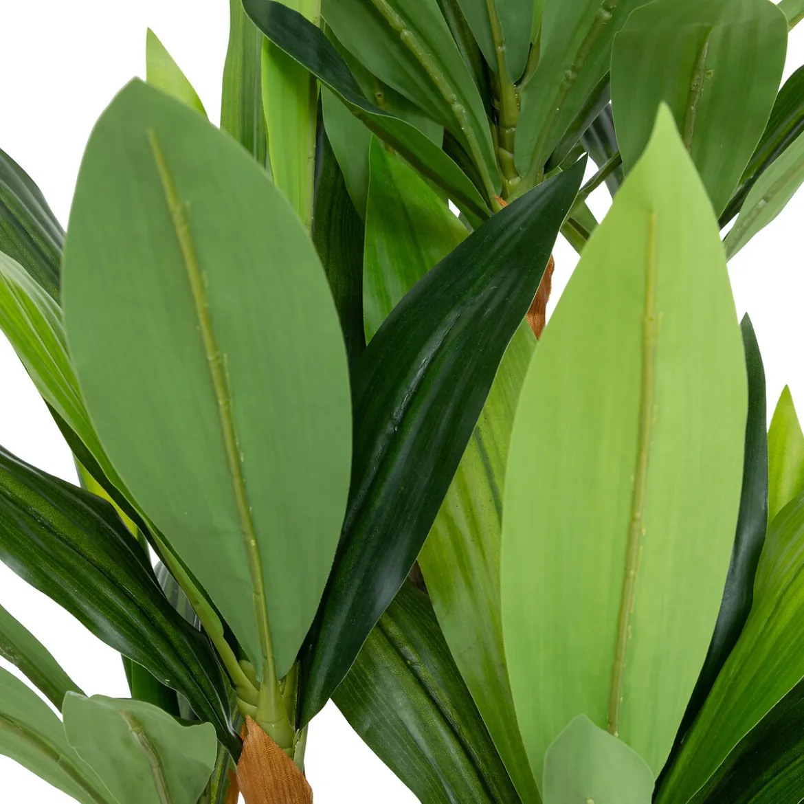 Dracena artificielle "Onia"