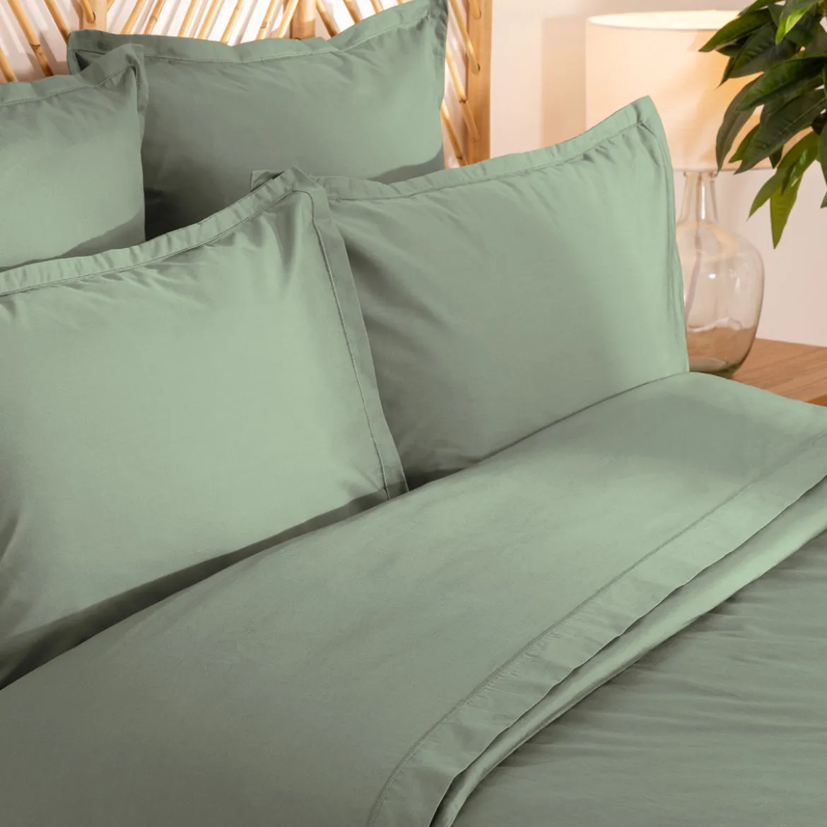 Drap plat, percale