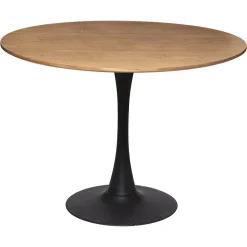 Ensemble table à manger "Elias" + 4 chaises "Trecia"