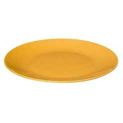 Lot de 6 assiettes plates "Colorama"