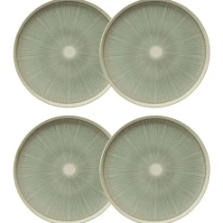 Lot de 4 assiettes plates
