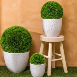 Lot de 3 pots