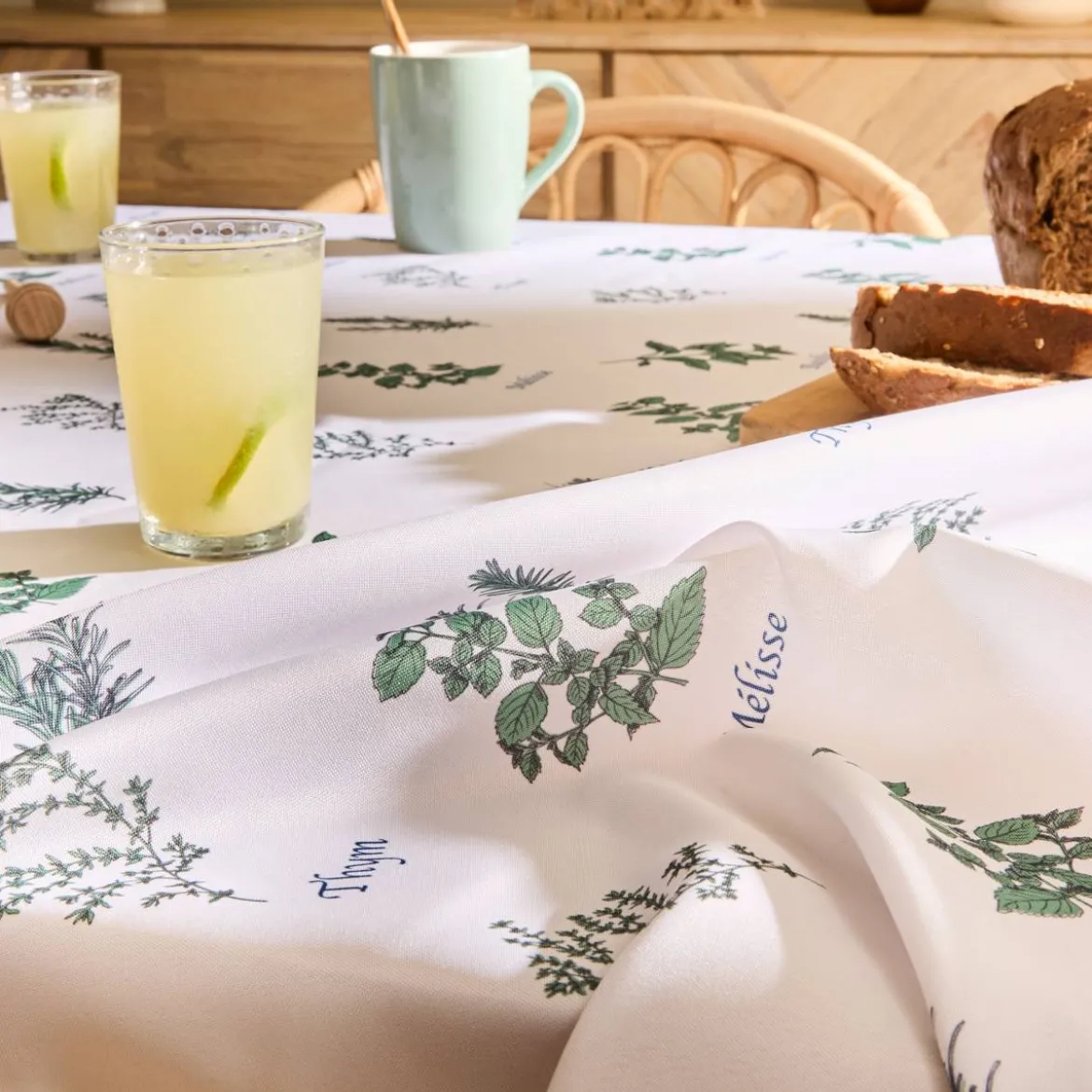 Nappe "Garrigue"