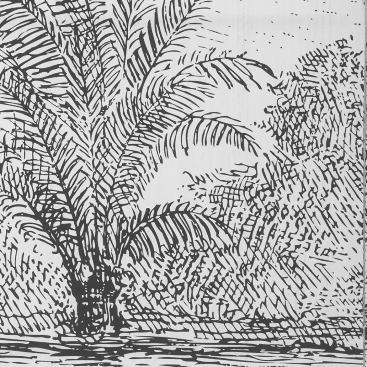 Paravent "Cuba"