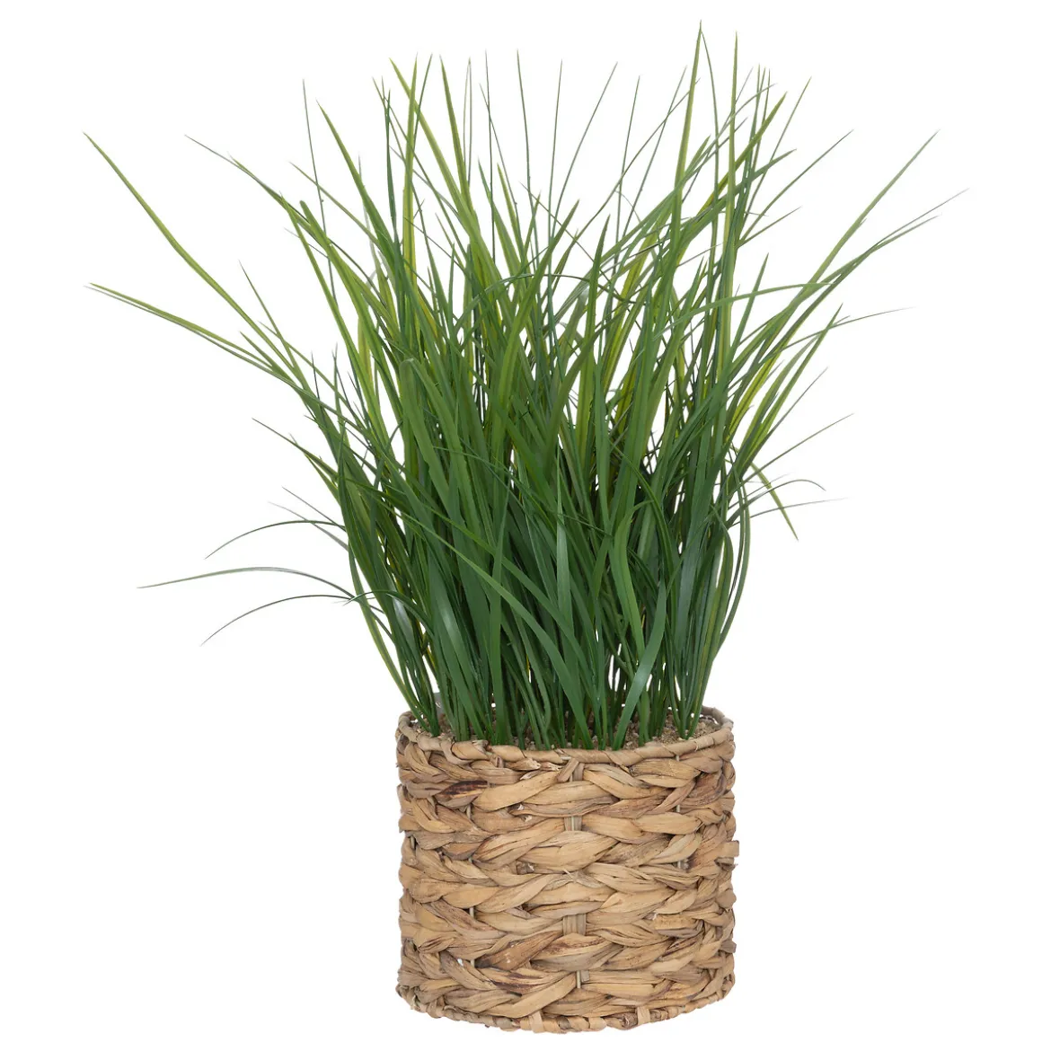Plante artificielle