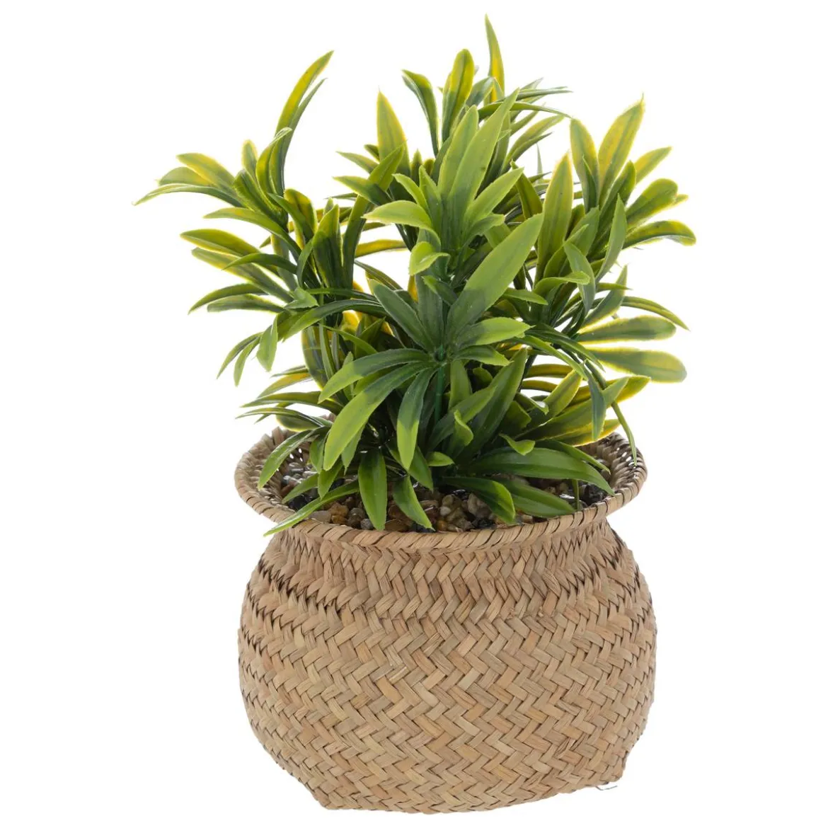 Plante artificielle