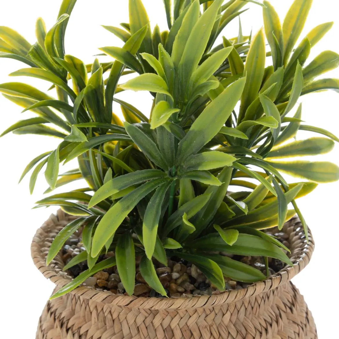 Plante artificielle