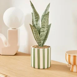 Plante artificielle en pot "Cheri"