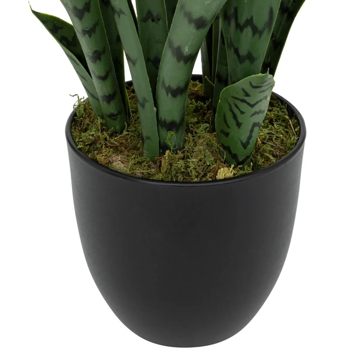 Plante artificielle sansevieria "Toby"