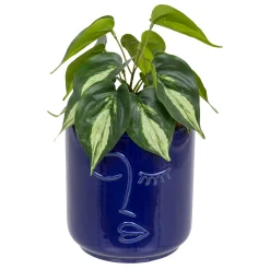 Plante artificielle "Soleya"