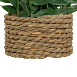 Plante artificielle suspendue