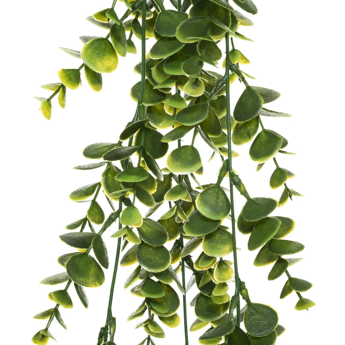 Plante artificielle tombante
