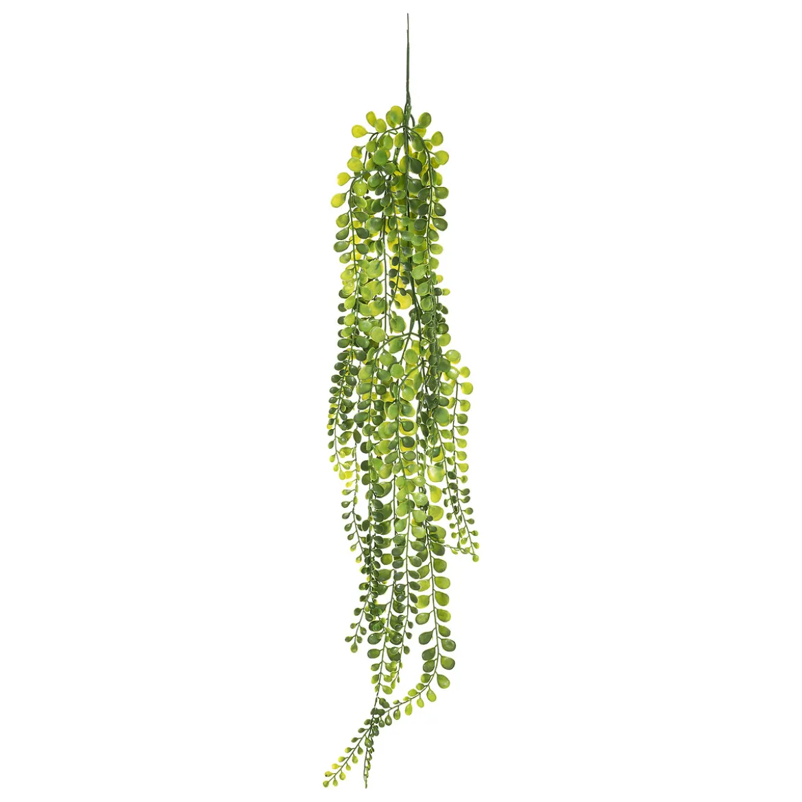 Plante artificielle tombante