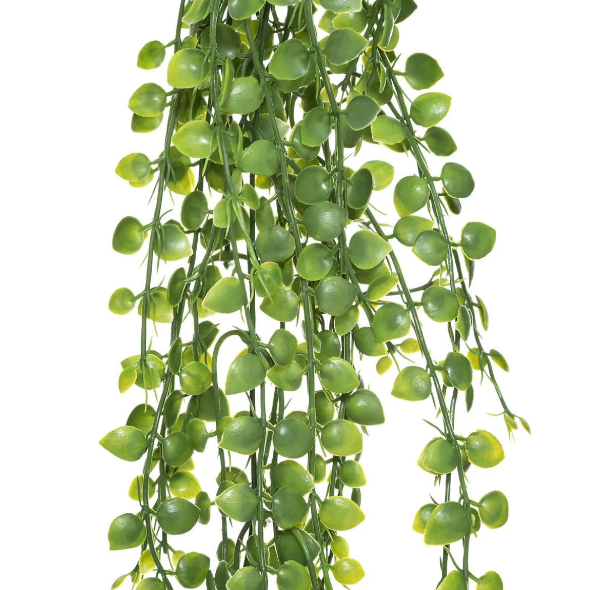 Plante artificielle tombante