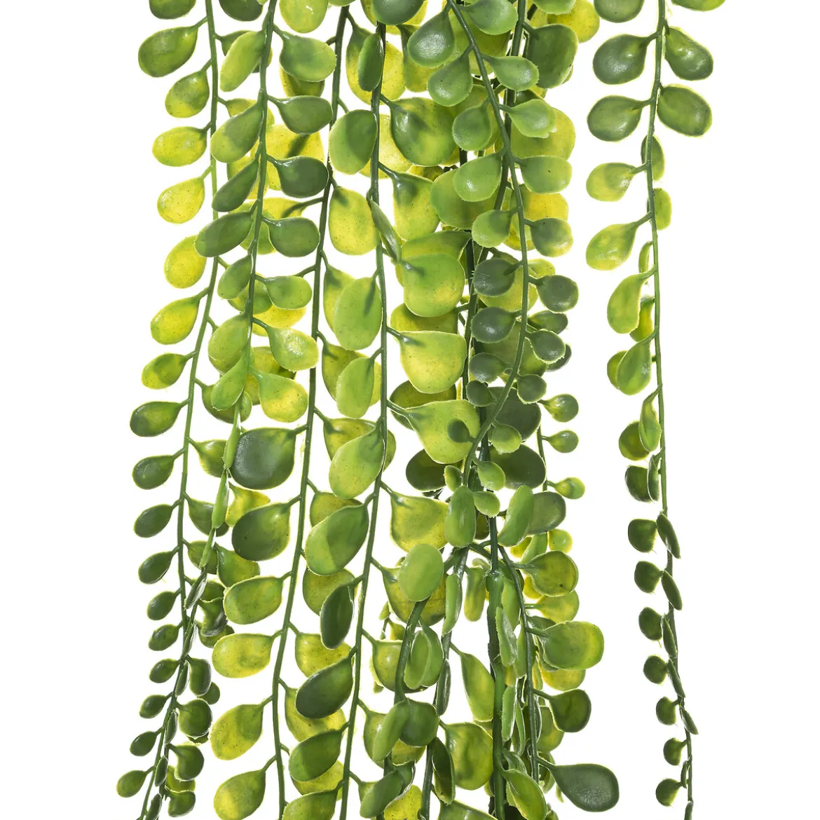 Plante artificielle tombante