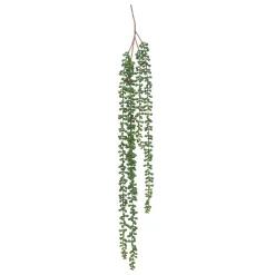 Plante artificielle tombante de senecon