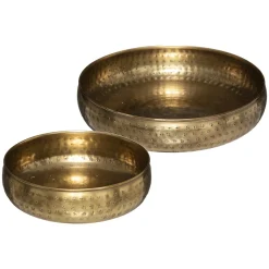 Set de 2 coupes "Oasis"