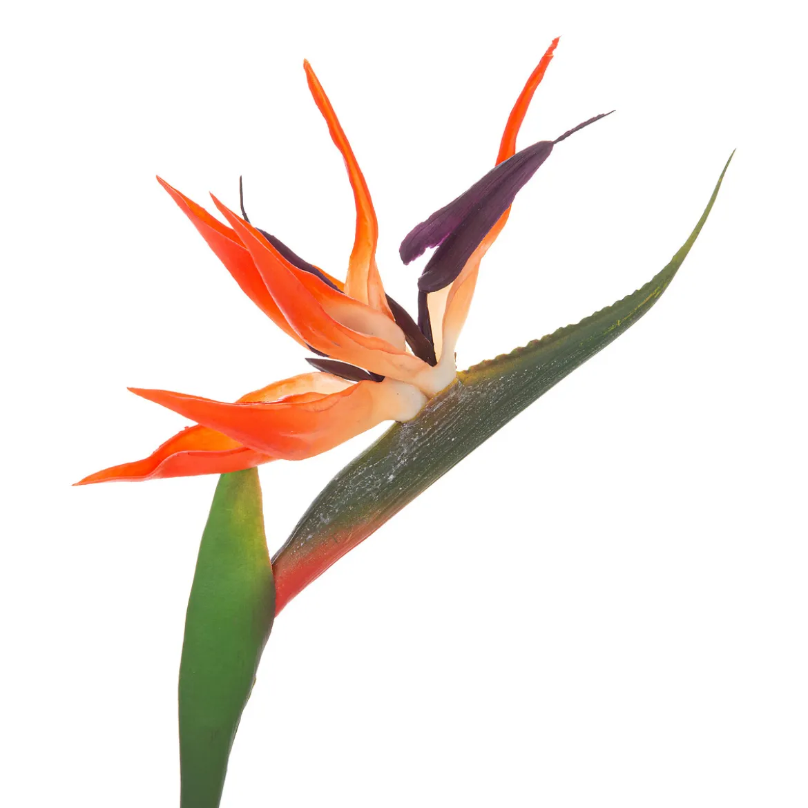 Tige d'oiseau du paradis artificielle