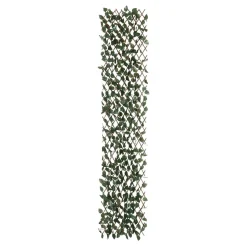 Trellis 