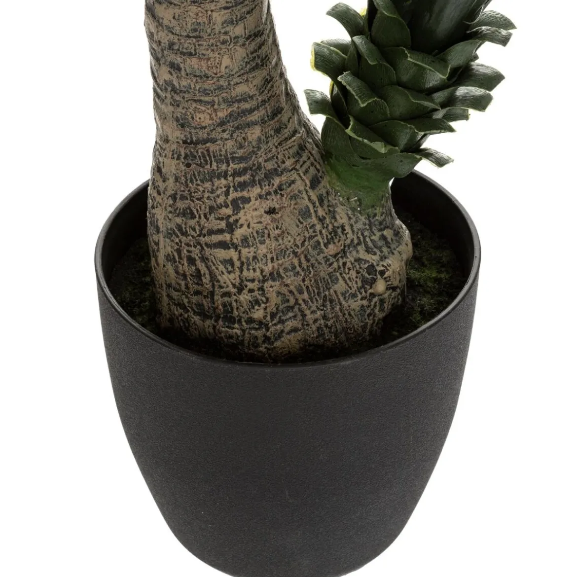 Yucca artificiel
